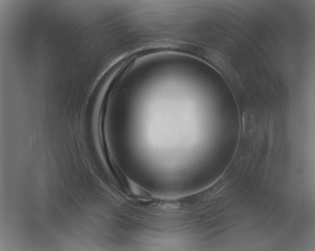 X0000054420156200508121800