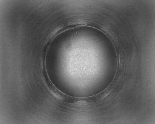 X0000054420157200508121800