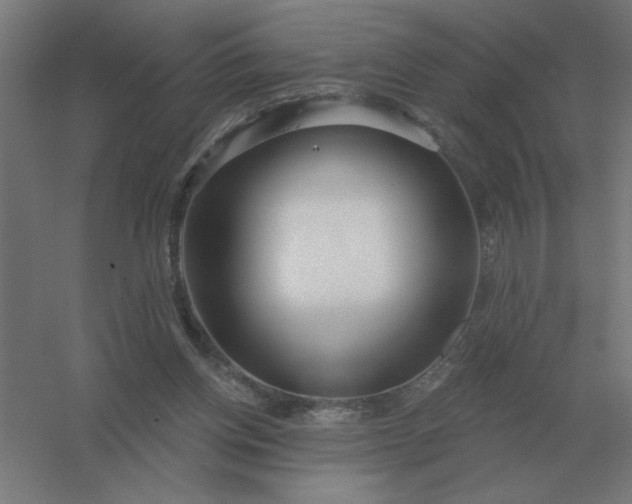 X0000054420158200508121800