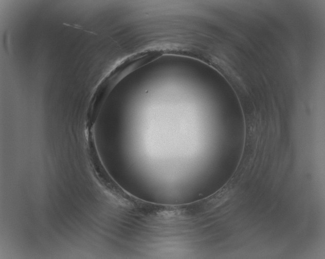 X0000054420160200508121800
