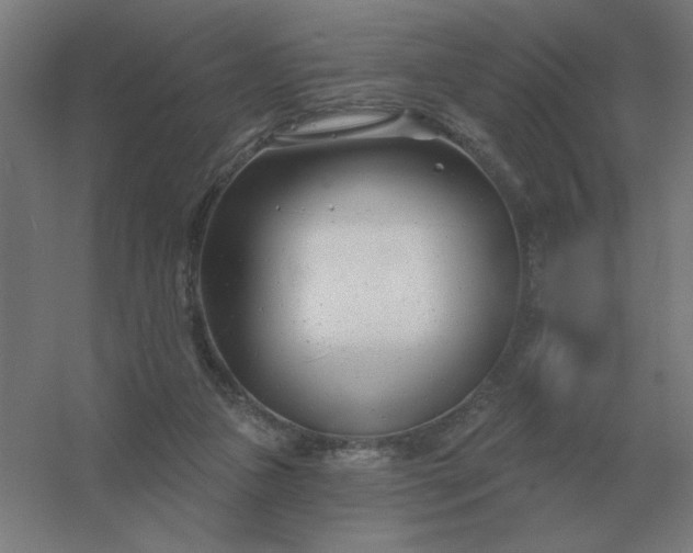 X0000054420161200508121800