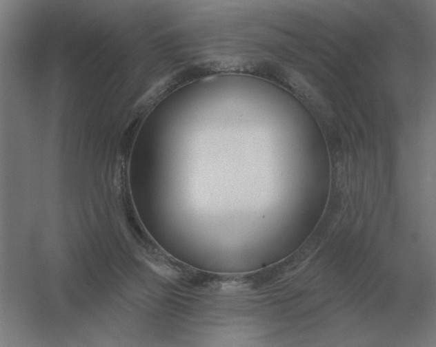 X0000054420165200508121801