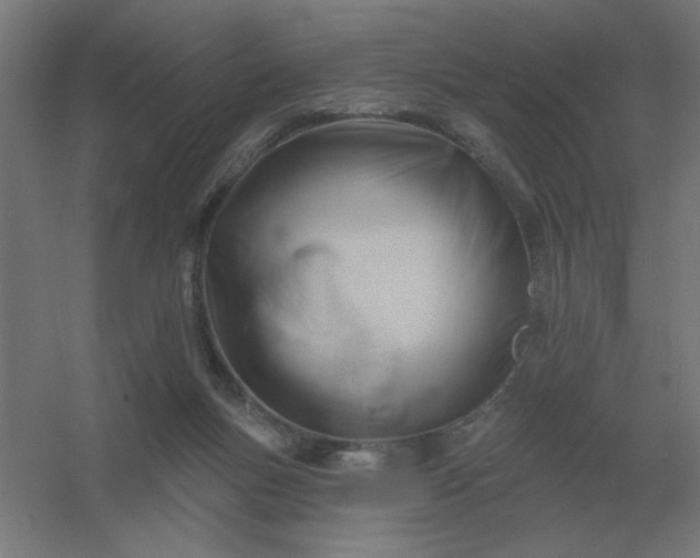 X0000054420167200508121801