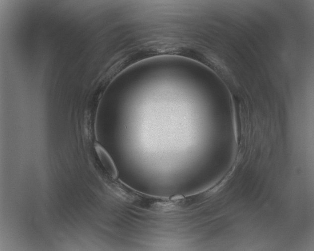 X0000054420170200508121801