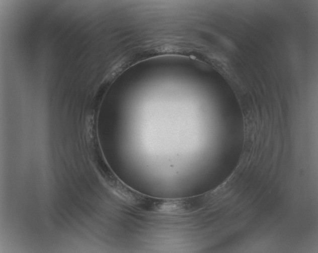 X0000054420171200508121801