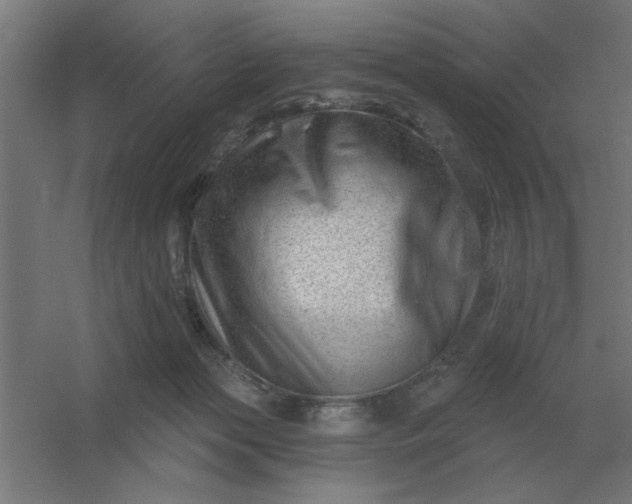 X0000054420173200508121801