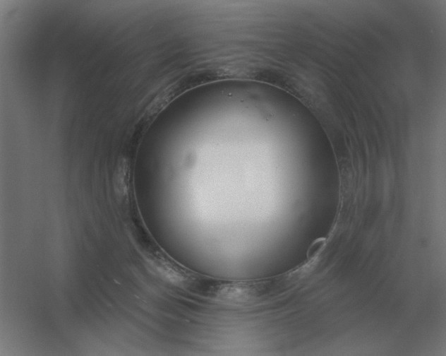 X0000054420174200508121801