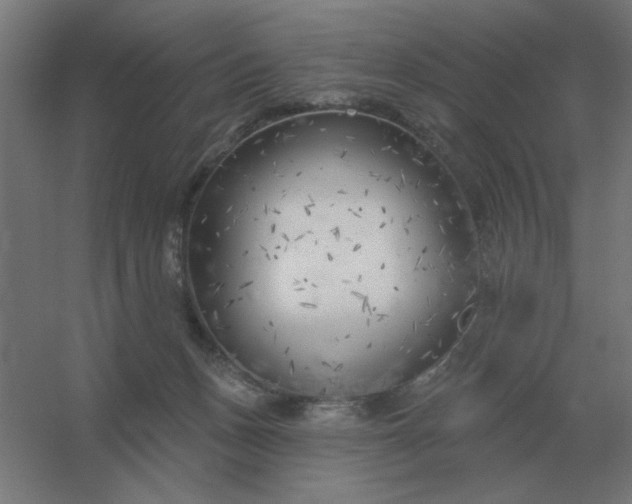 X0000054420175200508121801