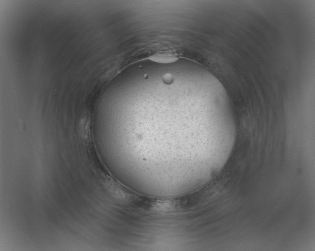 X0000054420177200508121801