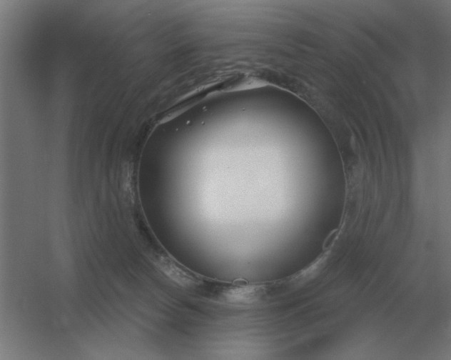 X0000054420178200508121801