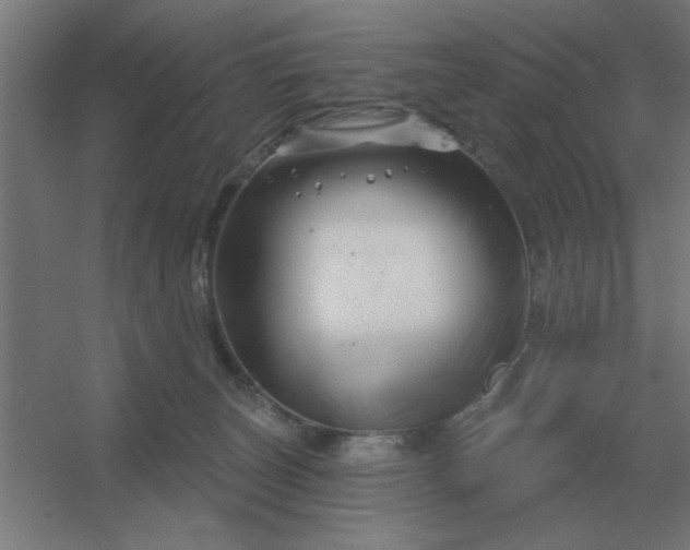 X0000054420179200508121801