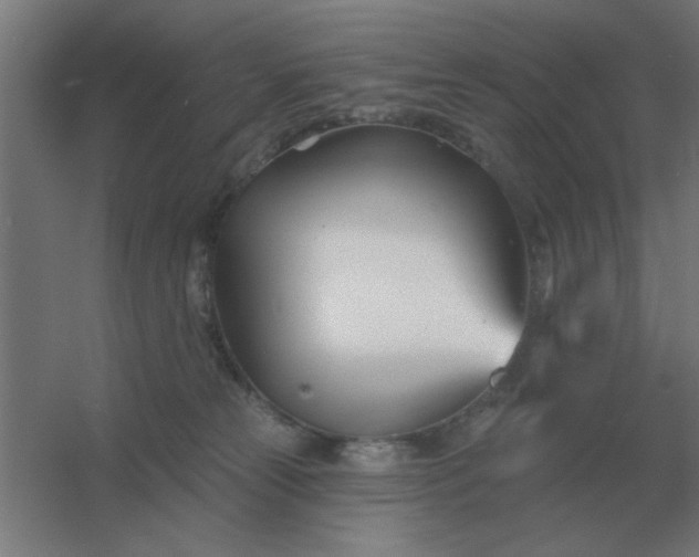 X0000054420181200508121801