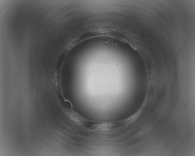 X0000054420182200508121801