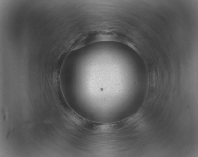 X0000054420184200508121801