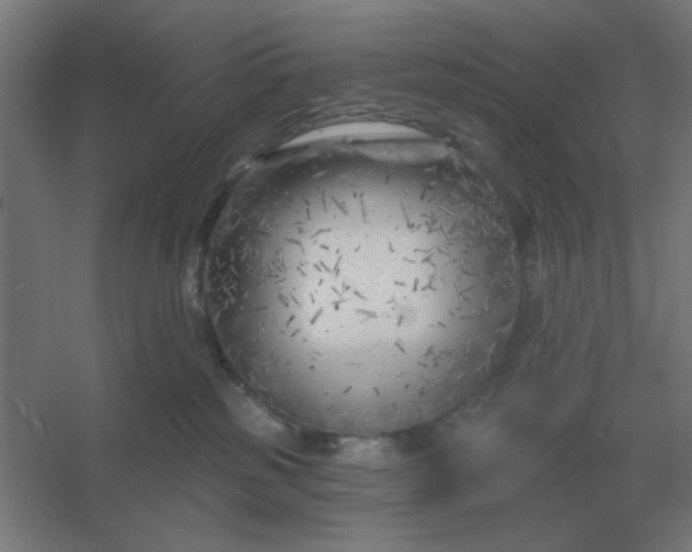 X0000054420185200508121801