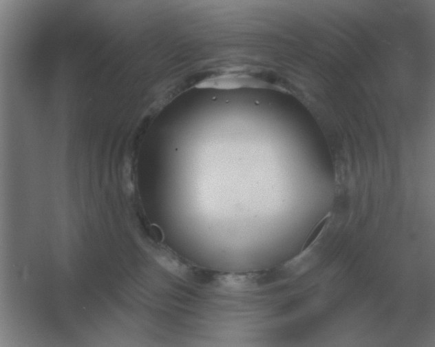 X0000054420187200508121801