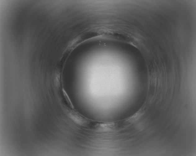 X0000054420188200508121801