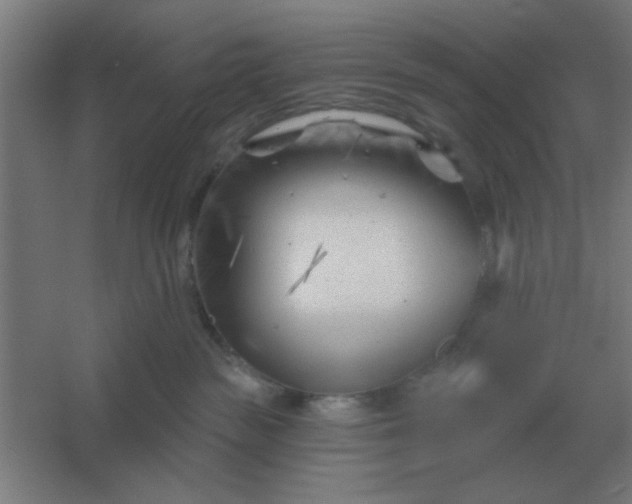 X0000054420189200508121801