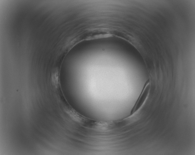 X0000054420190200508121801