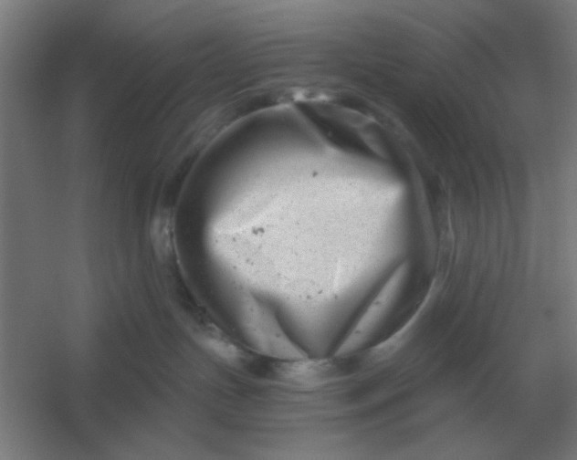 X0000054420191200508121801