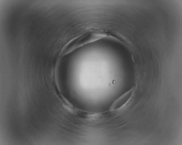 X0000054420192200508121801