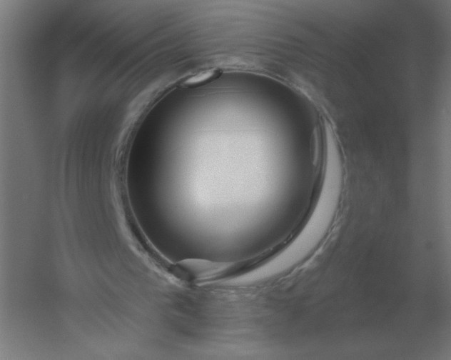 X0000054420193200508121800