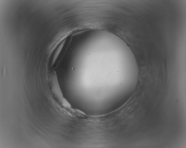 X0000054420194200508121800