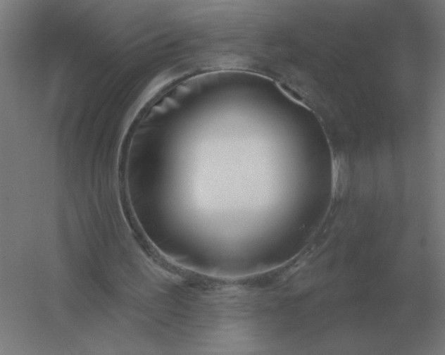 X0000054420195200508121800