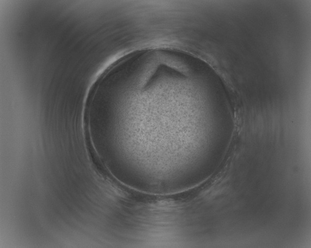 X0000054420196200508121800