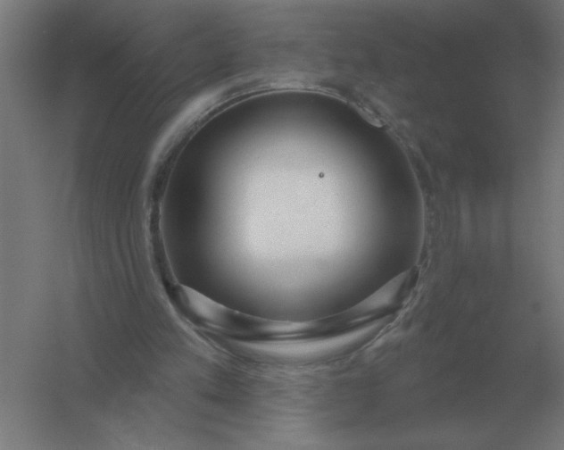 X0000054420197200508121800