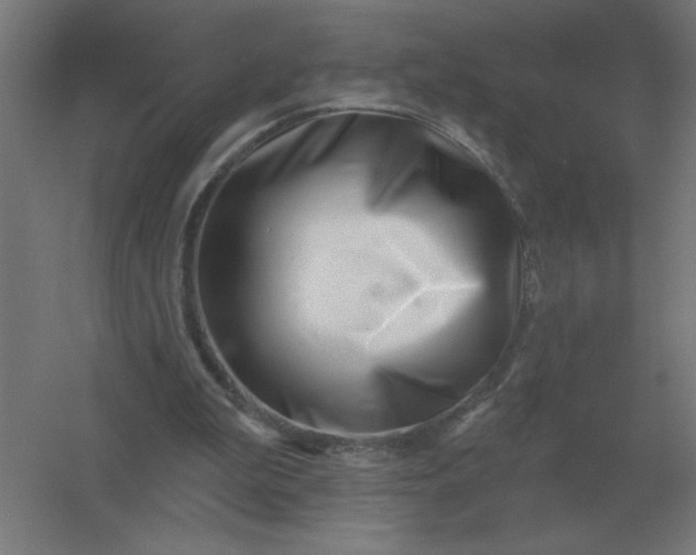 X0000054420199200508121800