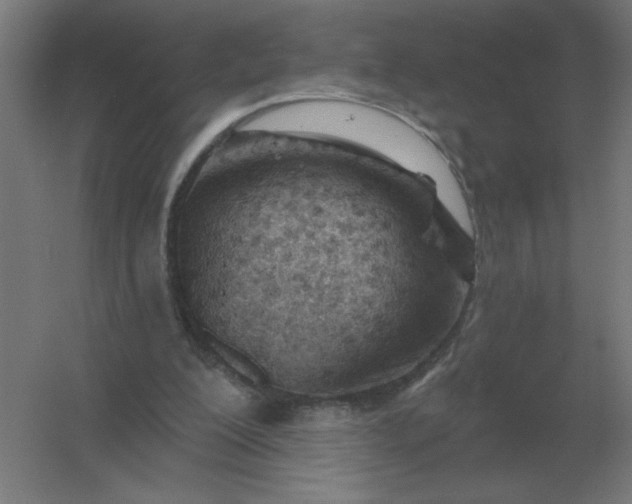 X0000054420200200508121800