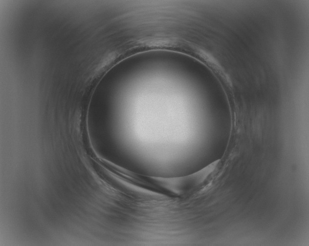 X0000054420201200508121800
