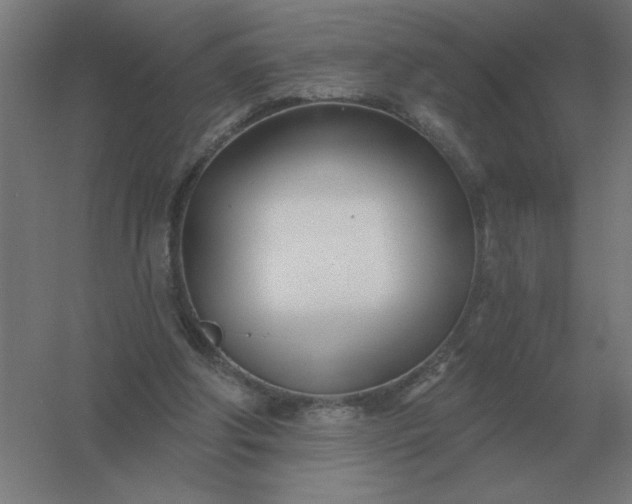 X0000054420202200508121800