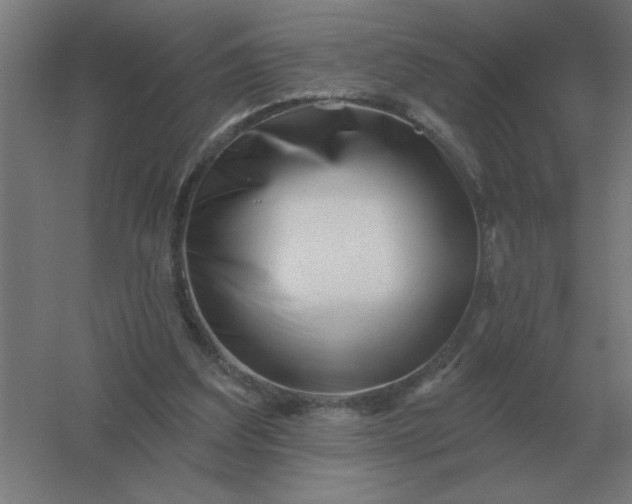 X0000054420203200508121800