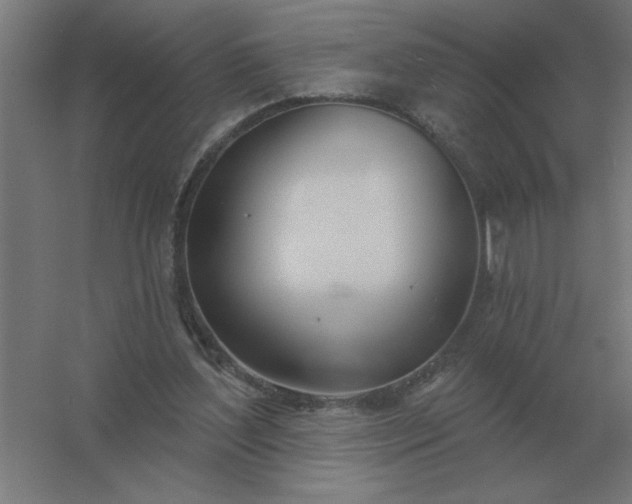 X0000054420204200508121800