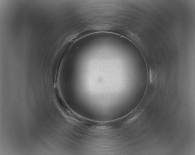 X0000054420205200508121800