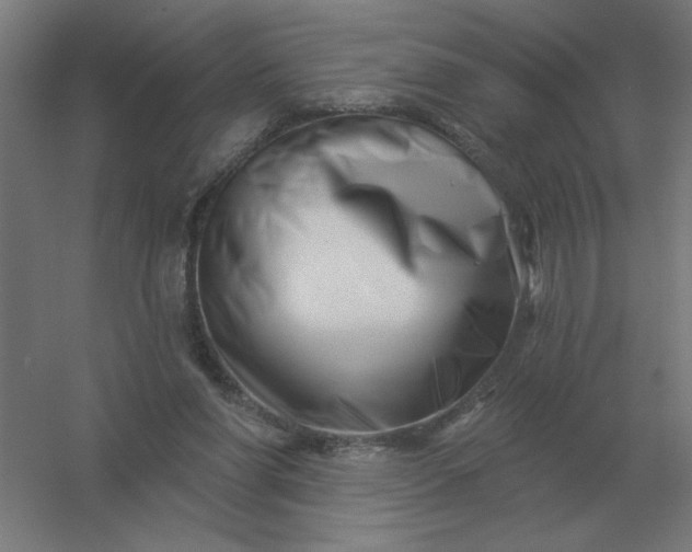 X0000054420206200508121800