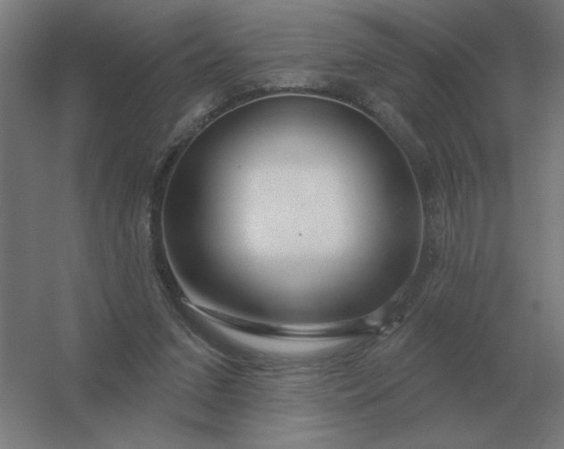 X0000054420207200508121800