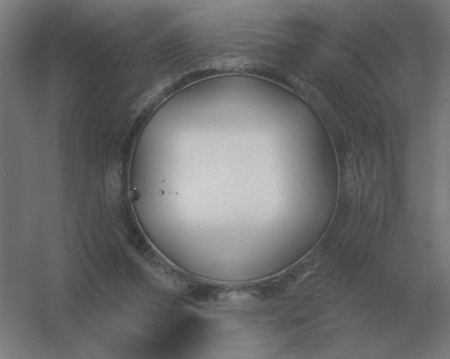 X0000054420208200508121800