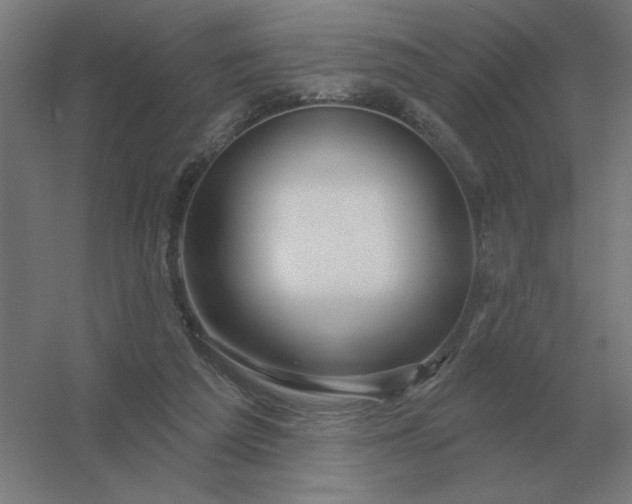 X0000054420209200508121800