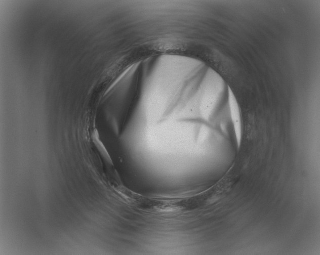 X0000054420210200508121800