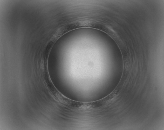 X0000054420213200508121800