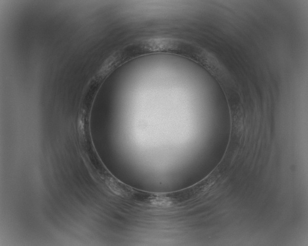 X0000054420214200508121800