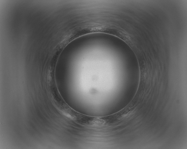 X0000054420215200508121800