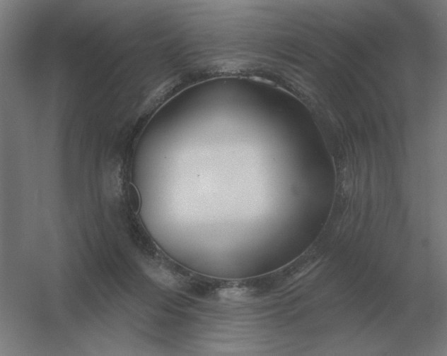 X0000054420216200508121800