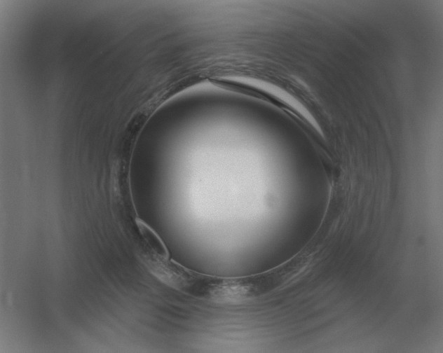 X0000054420217200508121800