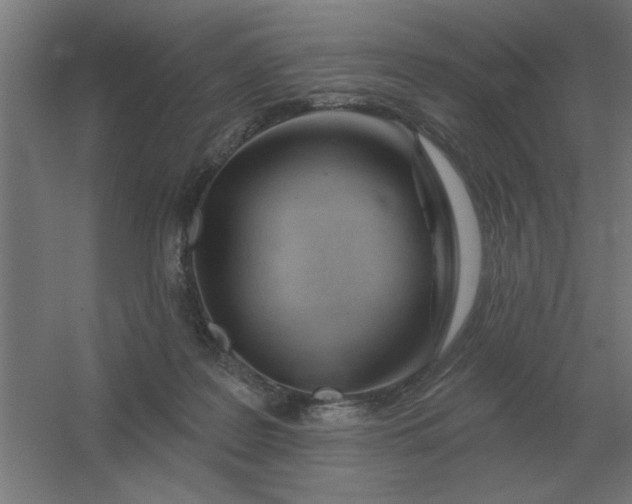 X0000054420219200508121800