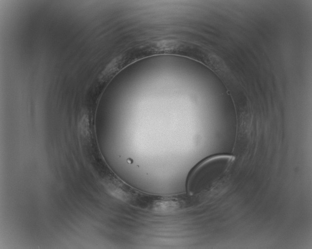 X0000054420220200508121800