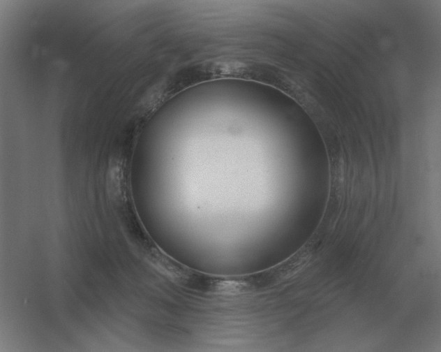 X0000054420222200508121800